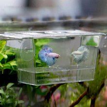 Load image into Gallery viewer, Transparent Acrylic Fish Tank Breeding Isolation Box Aquarium Hatchery Incubator Holder
