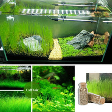 Load image into Gallery viewer, NEW Green Grass Plant Aquarium Fish Tank Plants Prospects Grass Landscaping Decoration Wholesale
